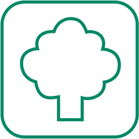 Déchets verts Déchets verts